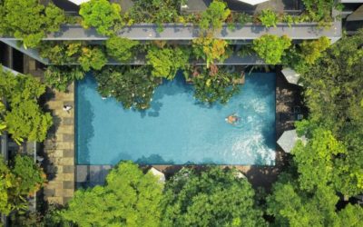 Anjali by Syphon Joins Hands with Red Elephant Reps