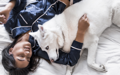 Staycation – A new kind of vacation