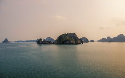 Bringing Vietnam to You