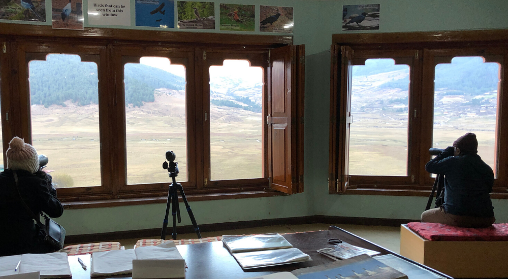 Bhutan blceck-necked cranes visitor centre