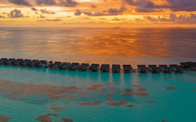 Red Elephant Reps to represent THE OZEN COLLECTION  in the Maldives