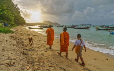 Mangosteen Phuket – Discounted rates & PCR tests included!