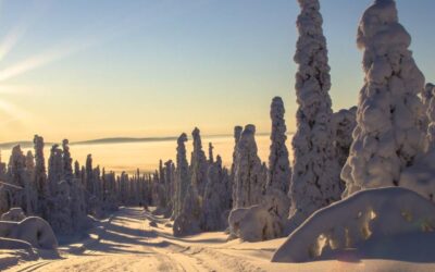 Introducing our new destination – Finland