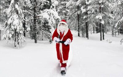 Winter Adventures in Finland: Tours & Promotions