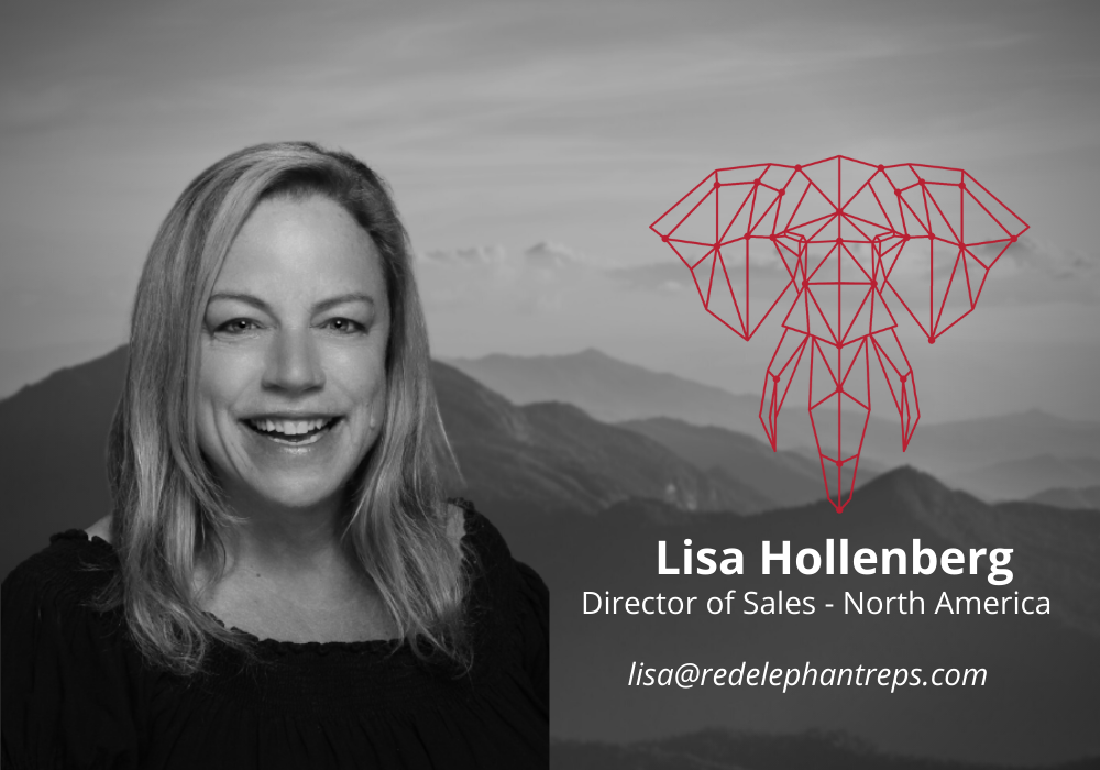 Lisa Hollenberg - Director of Sales North America