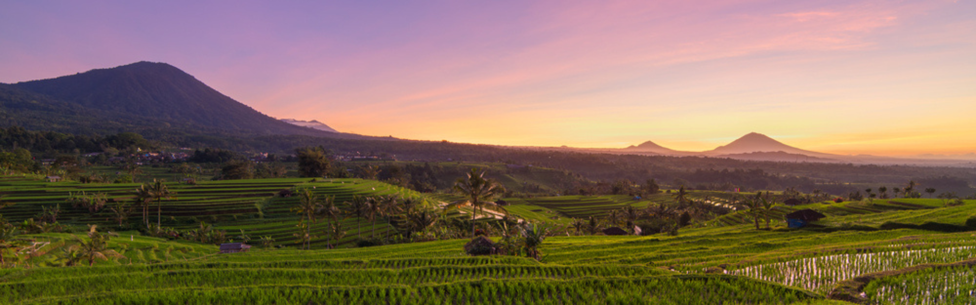 Indonesia_Bali_Jatiluwih Rice Terraces_Sunrise