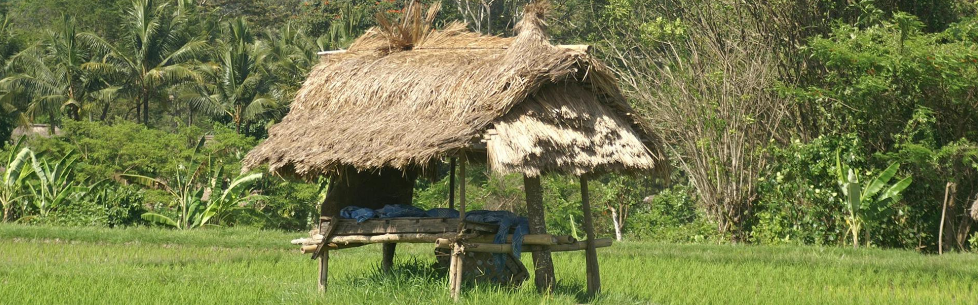 Maya Ubud - Village Trekking
