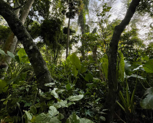 Sirinat National Park