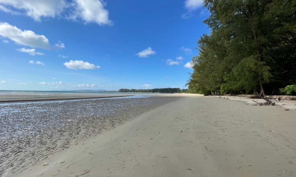 The Slate - Nai Yang Beach