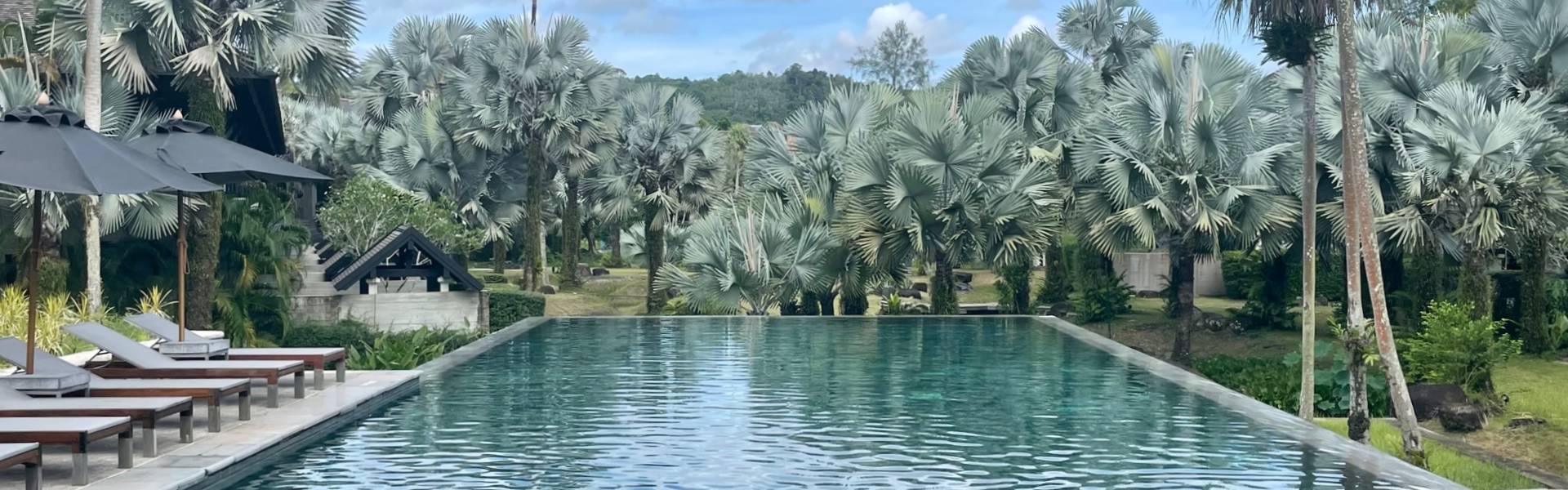 The Slate - Snakeskin infinity pool