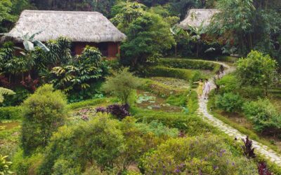 New Partnership With Panhou Retreat in Vietnam