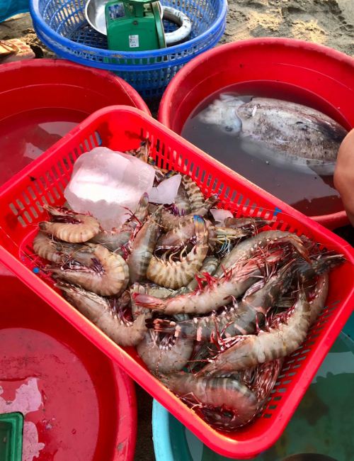 Fresh shrimp at the market
