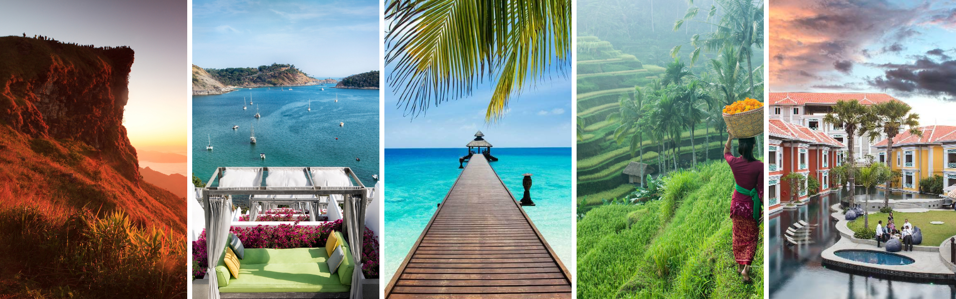 Digital Marketing Portfolio